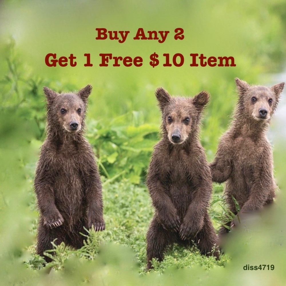 🐻 Not For Sale 🐻
